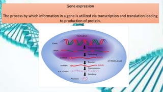 Gene expression
The process by which information in a gene is utilized via transcription and translation leading
to production of protein.
 