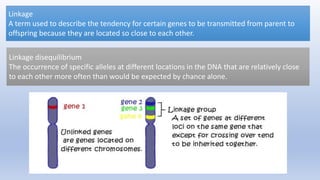 Linkage
A term used to describe the tendency for certain genes to be transmitted from parent to
offspring because they are located so close to each other.
Linkage disequilibrium
The occurrence of specific alleles at different locations in the DNA that are relatively close
to each other more often than would be expected by chance alone.
 