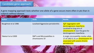 Candidate gene approach
A gene mapping approach tests whether one allele of a gene occurs more often in pts than in
subjects without disease.
Author Study Results
Boughman et al 1986 Localized Aggressive periodontitis AgP seggregates with
dentinogenesis imperfecta.
Localized to long arm of
chromosome 4 near the gene for
dentinogenesis imperfecta.
Tabeta K et al 2009 SNP’s and Microsatellites in
chromosome 19
A single microsatellite marker allele
17 of 1902 G 31 on chromosome 19-
associated with severe chronic
periodontitis
 