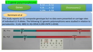IL 1 gene polymorphisms
IL 1A …….IL-1α
IL1B…...…IL-1β
IL1RN…….IL-RA
Genes Chromosome 2
This study reports on IL1 composite genotype but no data were presented on carriage rates
of individual IL1 R alleles. The following IL1 genetic polymorphisms were studied in relation to
periodontitis : IL1A(- 889) IL1 B(+3954) IL1RN VNTR (+2018).
Kornmann et al
 