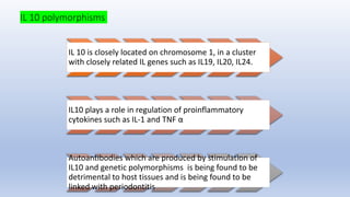 IL 10 polymorphisms
IL 10 is closely located on chromosome 1, in a cluster
with closely related IL genes such as IL19, IL20, IL24.
IL10 plays a role in regulation of proinflammatory
cytokines such as IL-1 and TNF α
Autoantibodies which are produced by stimulation of
IL10 and genetic polymorphisms is being found to be
detrimental to host tissues and is being found to be
linked with periodontitis
 