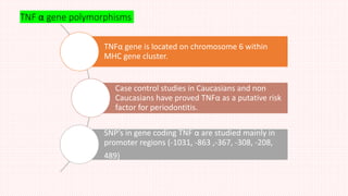 TNF α gene polymorphisms
TNFα gene is located on chromosome 6 within
MHC gene cluster.
Case control studies in Caucasians and non
Caucasians have proved TNFα as a putative risk
factor for periodontitis.
SNP’s in gene coding TNF α are studied mainly in
promoter regions (-1031, -863 ,-367, -308, -208,
489)
 