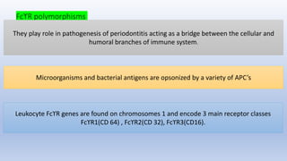 FcϒR polymorphisms
They play role in pathogenesis of periodontitis acting as a bridge between the cellular and
humoral branches of immune system.
Microorganisms and bacterial antigens are opsonized by a variety of APC’s
Leukocyte FcϒR genes are found on chromosomes 1 and encode 3 main receptor classes
FcϒR1(CD 64) , FcϒR2(CD 32), FcϒR3(CD16).
 