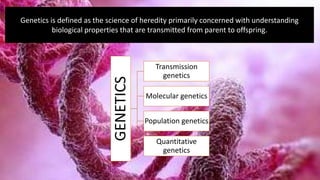 Genetics is defined as the science of heredity primarily concerned with understanding
biological properties that are transmitted from parent to offspring.
GENETICS
Transmission
genetics
Molecular genetics
Population genetics
Quantitative
genetics
 