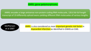 McPherson
et al 2007
ANRIL is also considered as most important genetic risk factor in
myocardial infarction as identified in GWAS on CAD.
ANRIL encodes a large antisense non-protein coding RNA molecuele, 126.6 kb full length
transcript of 19 differently spliced exons yielding different RNA molecueles of various lengths.
ANRIL gene polymorphisms
 