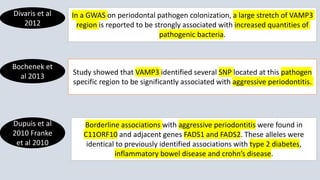 Divaris et al
2012
In a GWAS on periodontal pathogen colonization, a large stretch of VAMP3
region is reported to be strongly associated with increased quantities of
pathogenic bacteria.
Bochenek et
al 2013
Study showed that VAMP3 identified several SNP located at this pathogen
specific region to be significantly associated with aggressive periodontitis.
Dupuis et al
2010 Franke
et al 2010
Borderline associations with aggressive periodontitis were found in
C11ORF10 and adjacent genes FADS1 and FADS2. These alleles were
identical to previously identified associations with type 2 diabetes,
inflammatory bowel disease and crohn’s disease.
 