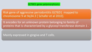 Risk gene of aggressive periodontitis GLT6D1 mapped to
chromosome 9 at 9q34.3 [ Schafer et al 2010].
It encodes for an unknown protein belonging to family of
proteins that is characterized by a glycosyl transferase domain 1 .
Mainly expressed in gingiva and T cells.
GLT6D1 gene polymorphisms
 