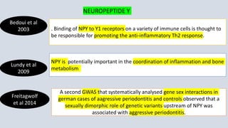 Bedoui et al
2003 . Binding of NPY to Y1 receptors on a variety of immune cells is thought to
be responsible for promoting the anti-inflammatory Th2 response.
Lundy et al
2009
NPY is potentially important in the coordination of inflammation and bone
metabolism
Freitagwolf
et al 2014
A second GWAS that systematically analysed gene sex interactions in
german cases of aagressive periodontitis and controls observed that a
sexually dimorphic role of genetic variants upstream of NPY was
associated with aggressive periodontitis.
NEUROPEPTIDE Y
 