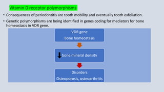 Vitamin D receptor polymorphisms
• Consequences of periodontitis are tooth mobility and eventually tooth exfoliation.
• Genetic polymorphisms are being identified in genes coding for mediators for bone
homeostasis in VDR gene.
VDR gene
Bone homeostasis
bone mineral density
Disorders
Osteoporosis, osteoarthritis
 