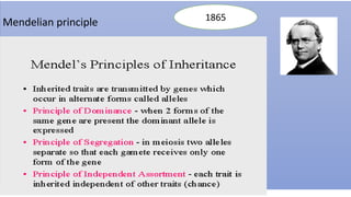 Mendelian principle 1865
 