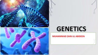 GENETICS
MUHAMMAD ZAIN UL ABIDEEN
 
