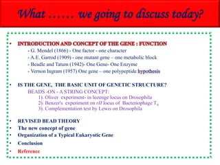 Genetic Fine Str Analysis Complementation Pptx
