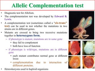Genetic fine str. analysis & complementation | PPTX