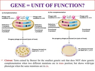 Genetic fine str. analysis & complementation | PPTX