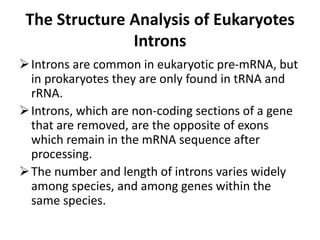 Genetic fine structure | PPTX
