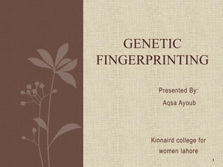 Presented By:
Aqsa Ayoub
Kinnaird college for
women lahore
GENETIC
FINGERPRINTING
1
 