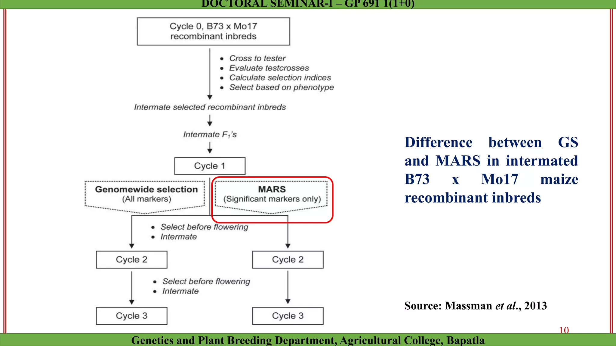 Difference between GS
and MARS in intermated
B73 x Mo17 maize
recombinant inbreds
10
Genetics and Plant Breeding Department, Agricultural College, Bapatla
DOCTORAL SEMINAR-I – GP 691 1(1+0)
Source: Massman et al., 2013
 