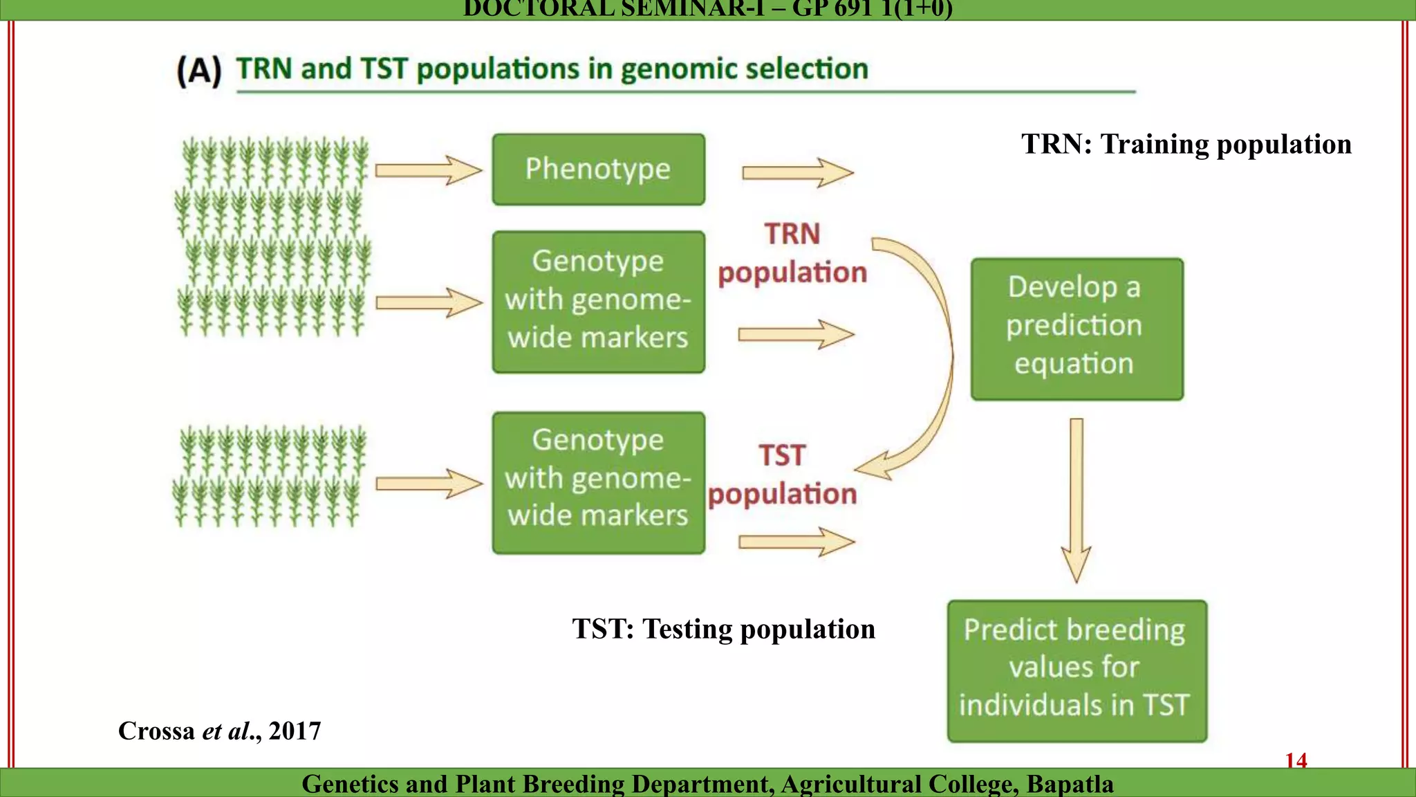 TRN: Training population
TST: Testing population
14
Genetics and Plant Breeding Department, Agricultural College, Bapatla
DOCTORAL SEMINAR-I – GP 691 1(1+0)
Crossa et al., 2017
 