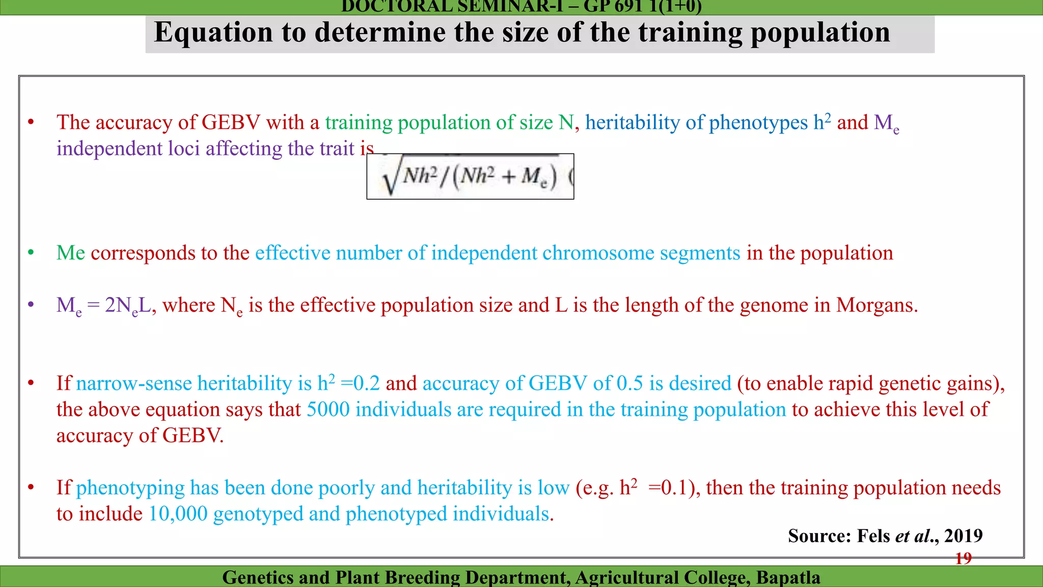 • The accuracy of GEBV with a training population of size N, heritability of phenotypes h2 and Me
independent loci affecting the trait is
• Me corresponds to the effective number of independent chromosome segments in the population
• Me = 2NeL, where Ne is the effective population size and L is the length of the genome in Morgans.
• If narrow-sense heritability is h2 =0.2 and accuracy of GEBV of 0.5 is desired (to enable rapid genetic gains),
the above equation says that 5000 individuals are required in the training population to achieve this level of
accuracy of GEBV.
• If phenotyping has been done poorly and heritability is low (e.g. h2 =0.1), then the training population needs
to include 10,000 genotyped and phenotyped individuals.
Equation to determine the size of the training population
19
Genetics and Plant Breeding Department, Agricultural College, Bapatla
DOCTORAL SEMINAR-I – GP 691 1(1+0)
Source: Fels et al., 2019
 