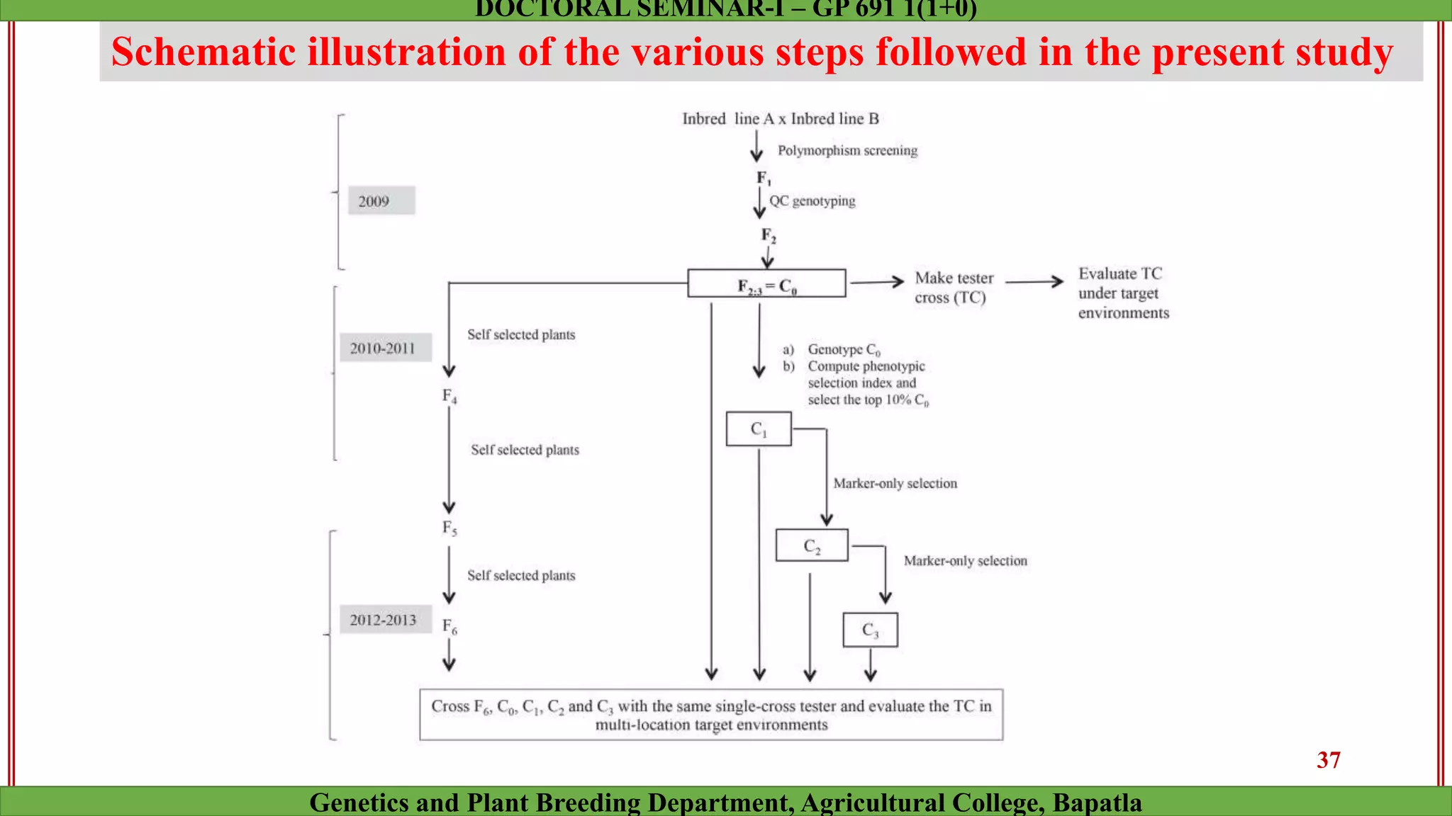 Schematic illustration of the various steps followed in the present study
37
Genetics and Plant Breeding Department, Agricultural College, Bapatla
DOCTORAL SEMINAR-I – GP 691 1(1+0)
 