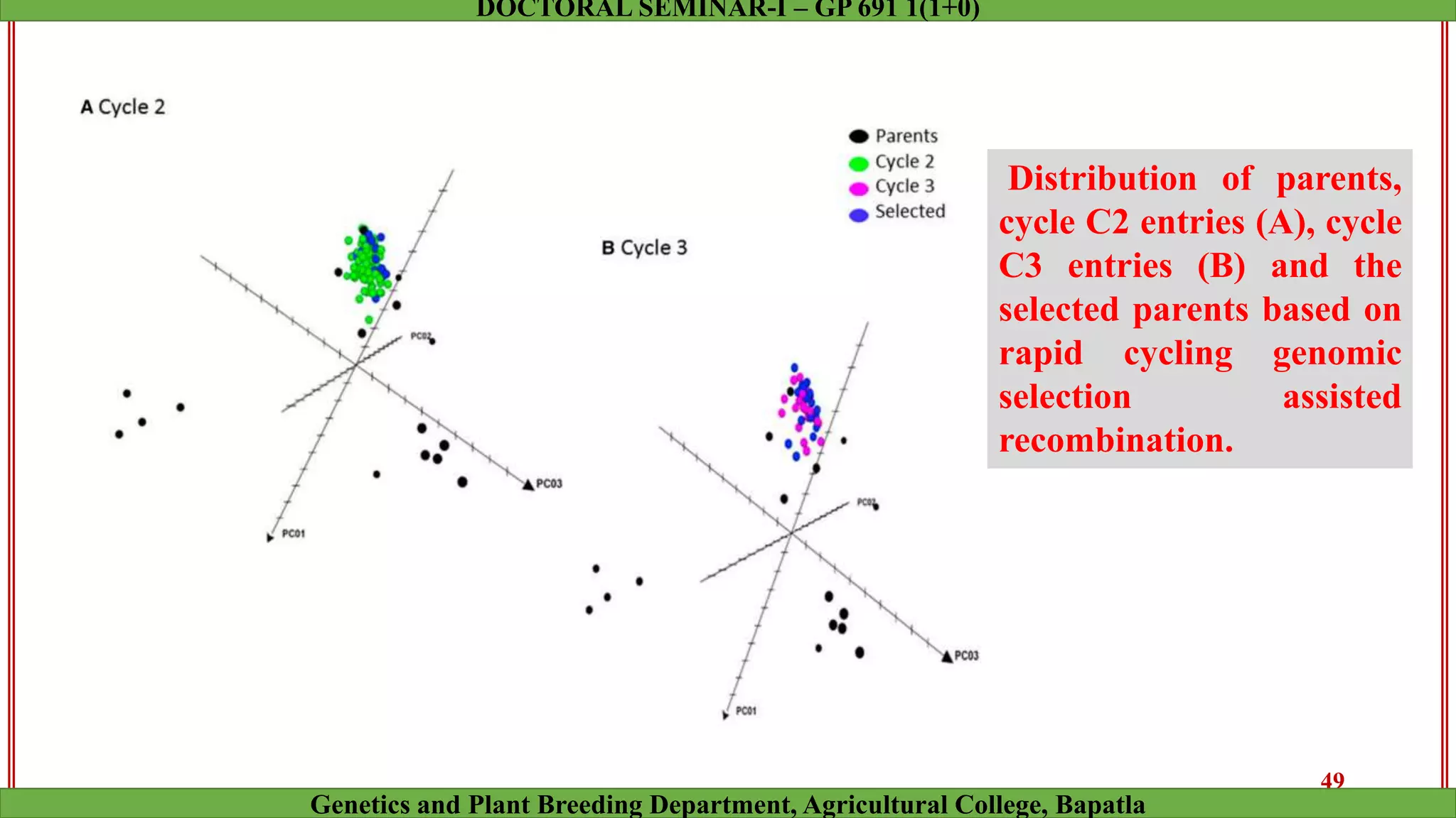 Distribution of parents,
cycle C2 entries (A), cycle
C3 entries (B) and the
selected parents based on
rapid cycling genomic
selection assisted
recombination.
49
Genetics and Plant Breeding Department, Agricultural College, Bapatla
DOCTORAL SEMINAR-I – GP 691 1(1+0)
 