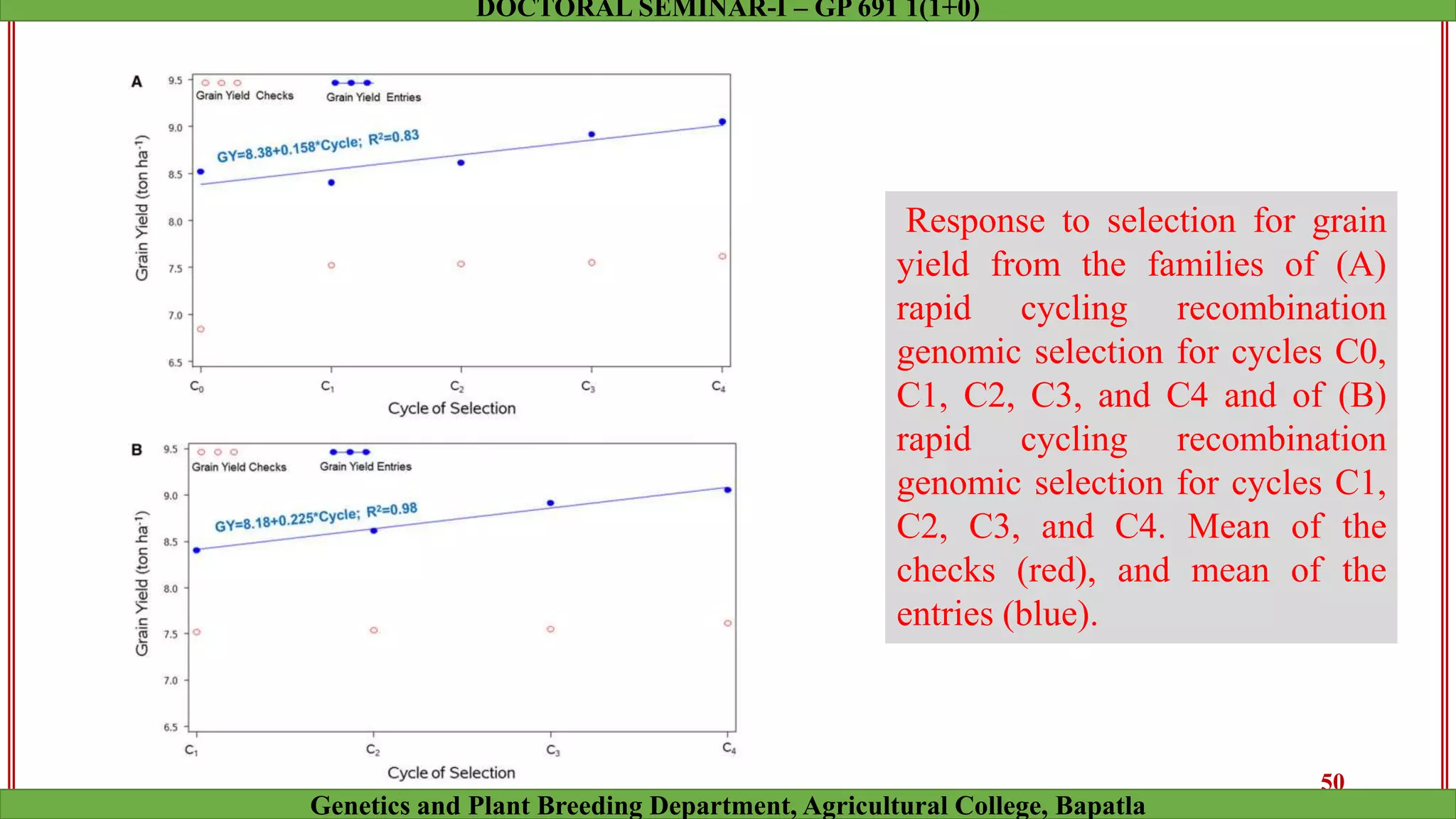 Response to selection for grain
yield from the families of (A)
rapid cycling recombination
genomic selection for cycles C0,
C1, C2, C3, and C4 and of (B)
rapid cycling recombination
genomic selection for cycles C1,
C2, C3, and C4. Mean of the
checks (red), and mean of the
entries (blue).
50
Genetics and Plant Breeding Department, Agricultural College, Bapatla
DOCTORAL SEMINAR-I – GP 691 1(1+0)
 