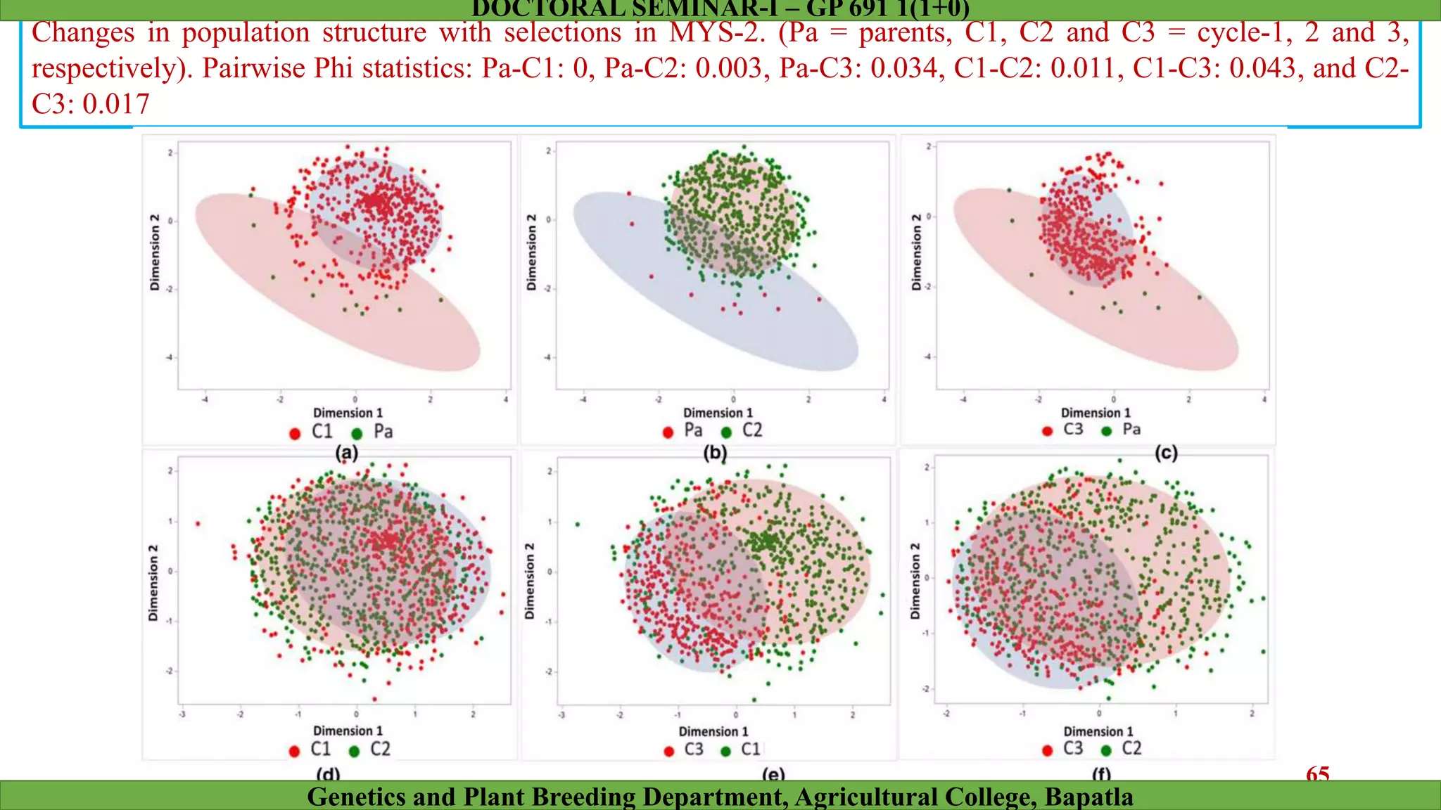 Changes in population structure with selections in MYS-2. (Pa = parents, C1, C2 and C3 = cycle-1, 2 and 3,
respectively). Pairwise Phi statistics: Pa-C1: 0, Pa-C2: 0.003, Pa-C3: 0.034, C1-C2: 0.011, C1-C3: 0.043, and C2-
C3: 0.017
65
Genetics and Plant Breeding Department, Agricultural College, Bapatla
DOCTORAL SEMINAR-I – GP 691 1(1+0)
 
