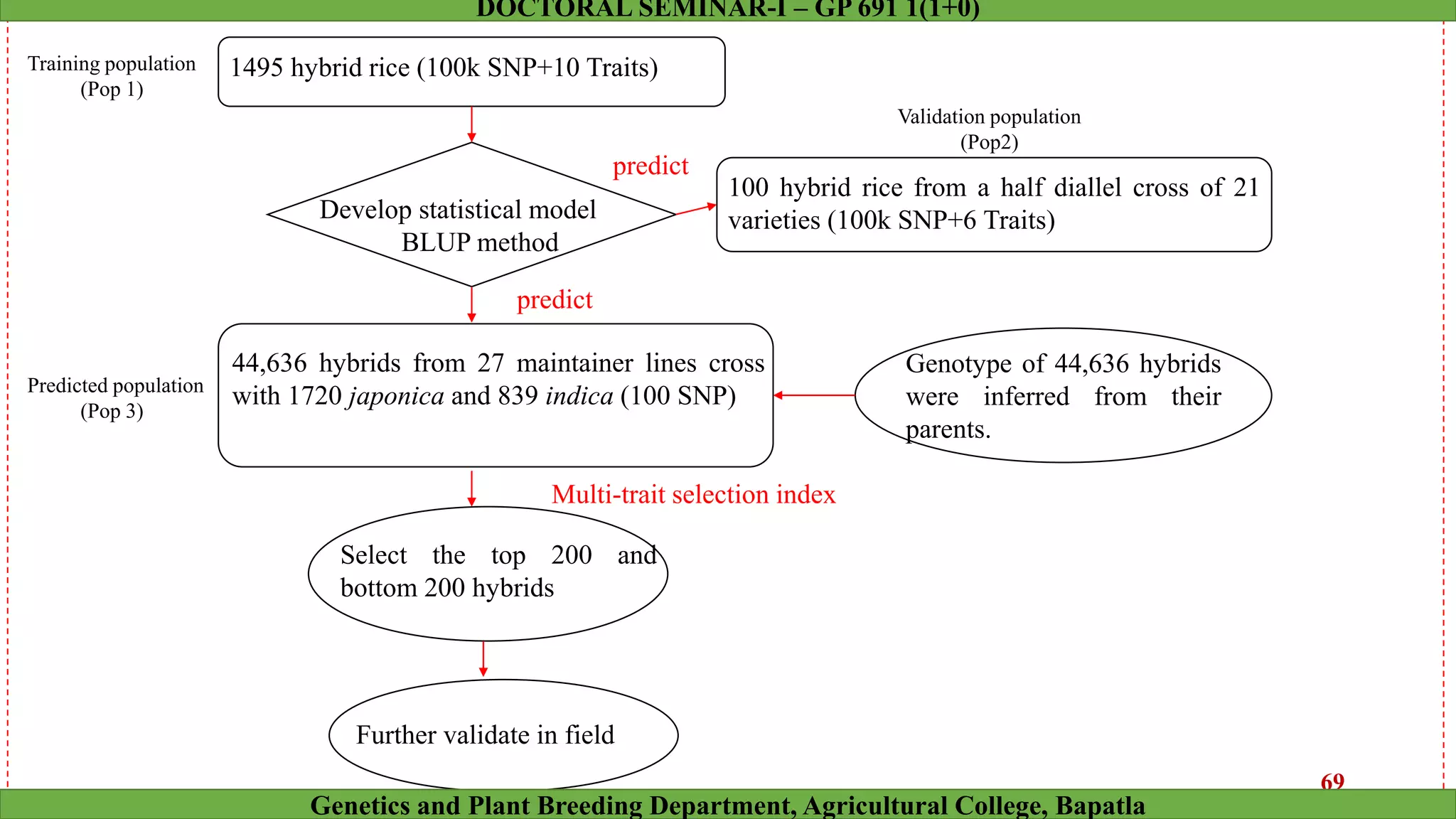 1495 hybrid rice (100k SNP+10 Traits)
Develop statistical model
BLUP method
44,636 hybrids from 27 maintainer lines cross
with 1720 japonica and 839 indica (100 SNP)
Select the top 200 and
bottom 200 hybrids
Further validate in field
100 hybrid rice from a half diallel cross of 21
varieties (100k SNP+6 Traits)
Genotype of 44,636 hybrids
were inferred from their
parents.
Training population
(Pop 1)
Predicted population
(Pop 3)
Validation population
(Pop2)
predict
predict
Multi-trait selection index
69
Genetics and Plant Breeding Department, Agricultural College, Bapatla
DOCTORAL SEMINAR-I – GP 691 1(1+0)
 