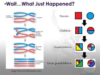 •Wait…What Just Happened?
Parents

Children

Grandchildren

Great grandchildren
Image from ricochetscience.com
Shannon Combs-Bennett (c) 2014

 