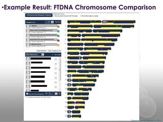 •Example Result: FTDNA Chromosome Comparison

Shannon Combs-Bennett (c) 2014

 