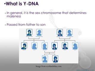 •What is Y-DNA
•

•

In general, it is the sex chromosome that determines
maleness
Passed from father to son

Image from scotlandsdna.com
Shannon Combs-Bennett (c) 2014

 