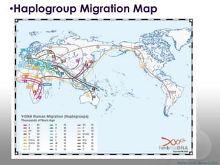 •Haplogroup Migration Map

Shannon Combs-Bennett (c) 2014

 