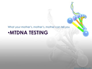 What your mother’s, mother’s, mother can tell you

•MTDNA TESTING

Shannon Combs-Bennett (c) 2014

 