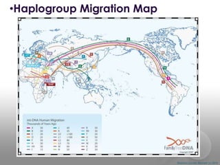 •Haplogroup Migration Map

Shannon Combs-Bennett (c) 2014

 