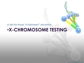 A test for those “in-between” ancestors

•X-CHROMOSOME TESTING

Shannon Combs-Bennett (c) 2014

 