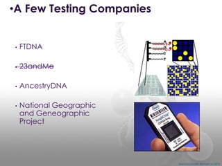•A Few Testing Companies

•

FTDNA

•

23andMe

•

AncestryDNA

•

National Geographic
and Geneographic
Project

Shannon Combs-Bennett (c) 2014

 