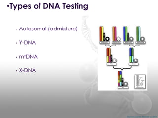 •Types of DNA Testing
•

Autosomal (admixture)

•

Y-DNA

•

mtDNA

•

X-DNA

Shannon Combs-Bennett (c) 2014

 