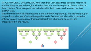 The Blundering DNA Genealogist: Basics: Generations Are Calculated  Differently at GEDmatch and Viewing Trees