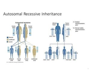 Autosomal Recessive Inheritance
5
 