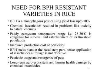 NEED FOR BPH RESISTANT
VARIETIES IN RICE
• BPH is a monophagous pest causing yield loss upto 70%
• Chemical insecticides resulted in problems like toxicity
to natural enemies
• Paddy ecosystem temperature range i.e. 28-30oC is
congenial for survival and establishment of its threshold
population
• Increased production cost of pesticides
• BPH sucks plant at the basal stem part, hence application
of insecticides at foliage is not effective
• Pesticide usage and resurgence of pest
• Long-term agro-ecosystem and human health damage by
chemical insecticides
12
 
