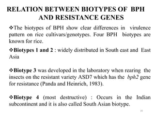 RELATION BETWEEN BIOTYPES OF BPH
AND RESISTANCE GENES
The biotypes of BPH show clear differences in virulence
pattern on rice cultivars/genotypes. Four BPH biotypes are
known for rice.
Biotypes 1 and 2 : widely distributed in South east and East
Asia
Biotype 3 was developed in the laboratory when rearing the
insects on the resistant variety ASD7 which has the bph2 gene
for resistance (Panda and Heinrich, 1983).
Biotype 4 (most destructive) : Occurs in the Indian
subcontinent and it is also called South Asian biotype.
16
 