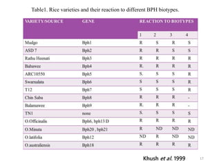 17Khush et al. 1999
Table1. Rice varieties and their reaction to different BPH biotypes.
 