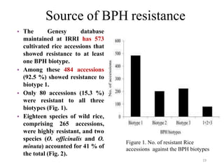 Source of BPH resistance
• The Genesy database
maintained at IRRI has 573
cultivated rice accessions that
showed resistance to at least
one BPH biotype.
• Among these 484 accessions
(92.5 %) showed resistance to
biotype 1.
• Only 80 accessions (15.3 %)
were resistant to all three
biotypes (Fig. 1).
• Eighteen species of wild rice,
comprising 265 accessions,
were highly resistant, and two
species (O. officinalis and O.
minuta) accounted for 41 % of
the total (Fig. 2).
Figure 1. No. of resistant Rice
accessions against the BPH biotypes
19
 