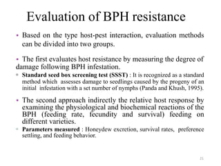 Evaluation of BPH resistance
• Based on the type host-pest interaction, evaluation methods
can be divided into two groups.
• The first evaluates host resistance by measuring the degree of
damage following BPH infestation.
▫ Standard seed box screening test (SSST) : It is recognized as a standard
method which assesses damage to seedlings caused by the progeny of an
initial infestation with a set number of nymphs (Panda and Khush, 1995).
• The second approach indirectly the relative host response by
examining the physiological and biochemical reactions of the
BPH (feeding rate, fecundity and survival) feeding on
different varieties.
▫ Parameters measured : Honeydew excretion, survival rates, preference
settling, and feeding behavior.
21
 
