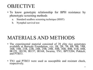 OBJECTIVE
• To know genotypic relationship for BPH resistance by
phenotypic screening methods
a. Standard seedbox screening technique (SSST)
b. Nymphal survival test
28
• The experimental material consisted of 28 elite rice genotypes
available at Barwale Foundation, viz; 1B, 2B, 7B, 8B, 9B, 14B,
16B, 18B, 21B, 22B, 24B, 25B, 28B, 30B, 36B, 40B, 41B, 44B,
IR129, 1R150, IR157, IR168, Swarna, TN1, BPT5204, Pokkali,
and PTB33.
• TN1 and PTB33 were used as susceptible and resistant check,
respectively.
MATERIALS AND METHODS
 