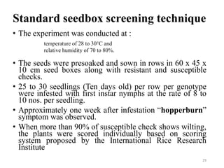 Standard seedbox screening technique
• The experiment was conducted at :
• The seeds were presoaked and sown in rows in 60 x 45 x
10 cm seed boxes along with resistant and susceptible
checks.
• 25 to 30 seedlings (Ten days old) per row per genotype
were infested with first instar nymphs at the rate of 8 to
10 nos. per seedling.
• Approximately one week after infestation “hopperburn”
symptom was observed.
• When more than 90% of susceptible check shows wilting,
the plants were scored individually based on scoring
system proposed by the International Rice Research
Institute
29
temperature of 28 to 30°C and
relative humidity of 70 to 80%.
 