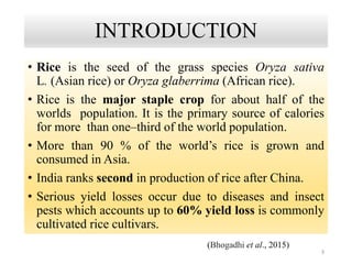 INTRODUCTION
• Rice is the seed of the grass species Oryza sativa
L. (Asian rice) or Oryza glaberrima (African rice).
• Rice is the major staple crop for about half of the
worlds population. It is the primary source of calories
for more than one–third of the world population.
• More than 90 % of the world’s rice is grown and
consumed in Asia.
• India ranks second in production of rice after China.
• Serious yield losses occur due to diseases and insect
pests which accounts up to 60% yield loss is commonly
cultivated rice cultivars.
3
(Bhogadhi et al., 2015)
 