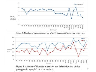 Figure 8. Amount of biomass in control and infested plants of rice
genotypes in nymphal survival method.
Figure 7. Number of nymphs surviving after 15 days on different rice genotypes.
34
 