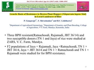 • Three BPH resistant(Ratnachoodi, Rajamudi, JBT 36/14) and
two susceptible donors (TN 1 and Jaya) of rice were studied at
ZARS, V. C. Farm, Mandya.
• F2 populations of Jaya × Rajamudi, Jaya ×Ratnachoodi, TN 1 ×
JBT 3614, Jaya × JBT 3614 and TN 1 × Ratnachoodi and TN 1 ×
Rajamudi were studied for for BPH resistance.
37
 