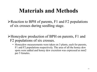 Materials and Methods
Reaction to BPH of parents, F1 and F2 populations
of six crosses during seedling stage.
Honeydew production of BPH on parents, F1 and
F2 populations of six crosses.
• Honeydew measurements were taken on 3 plants, each for parents,
F1 and F2 populations respectively. The area of all the honey dew
spots were added and honey dew excretion was expressed as mm2
per 5 females.
38
 